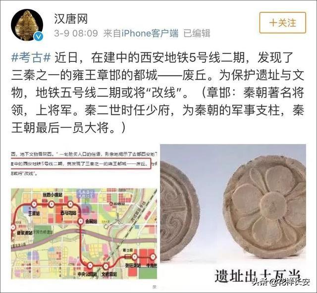 西北藏獒网红王一号:怎么看待西安是一个网红城？
