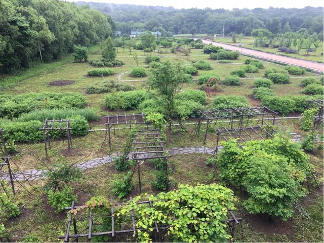 你去过哪些非常小众却又特别美的景点？插图112