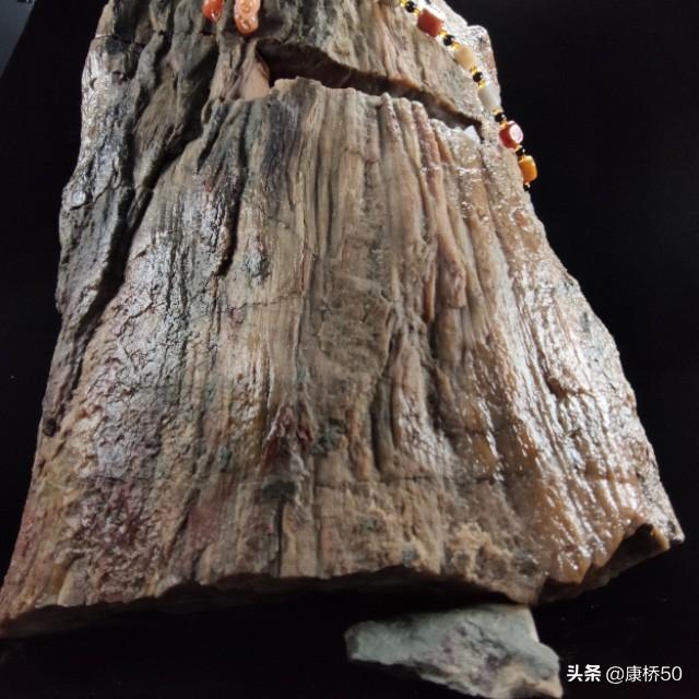 最贵的树化玉原石图片,什么树的化石比较有价值？