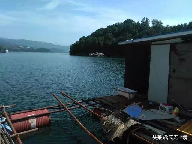 海钓活饵可以用泥鳅:筏钓中，他们挂泥鳅做钓饵，效果真的有那么好吗？