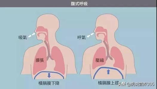 饭后打嗝是什么原因:吃完饭经常打嗝，正常吗？