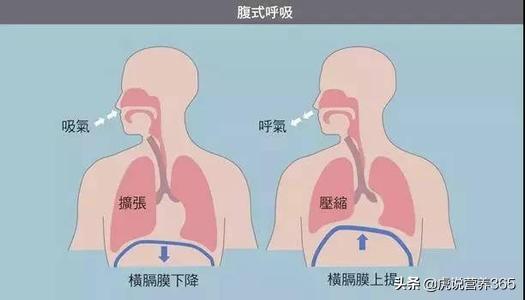 饭后打嗝频繁:饭后打嗝频繁 吃完饭经常打嗝，正常吗？