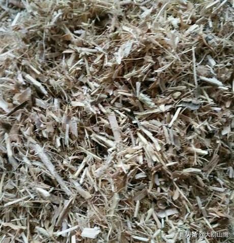反刍动物用阴离子盐:豆秸秆能粉碎喂羊吗？需要注意什么？