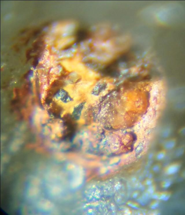 人类杀死了地球原住民:人类究竟是外来生物还是地球上的原住民？