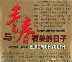 反映60-90年代的人文、爱情、创业等有时代背景的电视剧,有哪几部值得看？