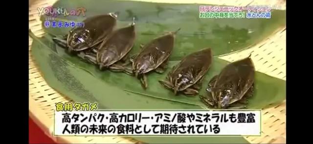 春晚灵异事件鬼脸:相声演员有没有上台后忘记自己在说什么话的时候啊？