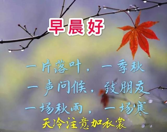 周三早上好暖心问候语，周三早安祝福图片带字