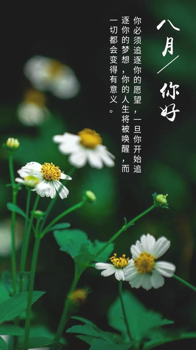 8月正能量励志早安图片日签简单带字，8月发朋友圈文案说说经典