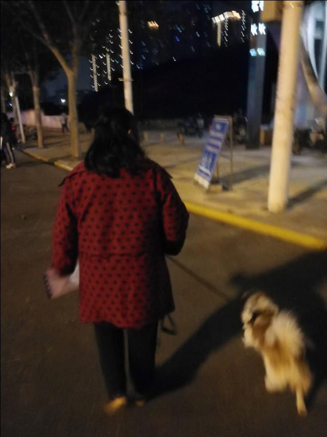 巴赛特猎犬价格:斯塔福犬怎么样，幼犬价格多少钱？为什么？