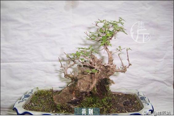 培新机械:工业机器人专业有哪些就业方向？
