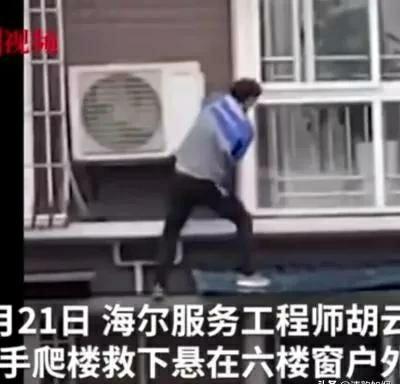 海尔集团董事长:青岛海尔公司董事长杨绵绵资料？