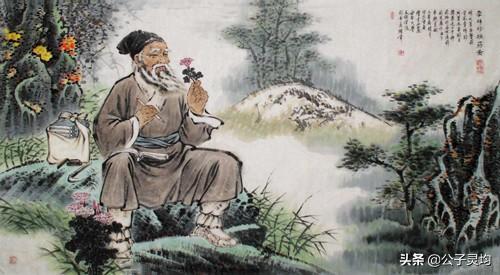 关于张仲景有哪些医学成就？