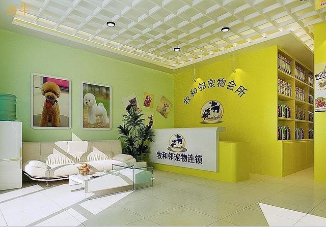 宠物店装修方案:宠物店装修注意事项有哪些？如何装修更受萌宠爱好者喜欢？