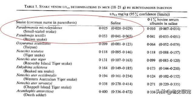 世界上最小最毒的蛇:世界上有多少种蛇?最毒的是那几种?不会吐毒液的有几种？