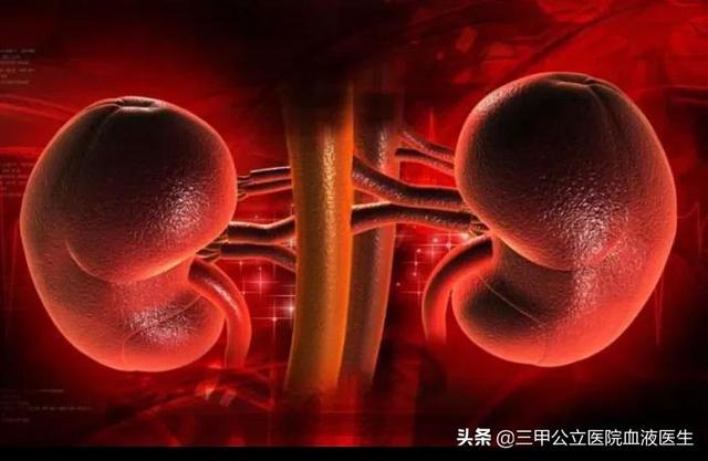 补肾常识,补肾的话有什么好东西吗？