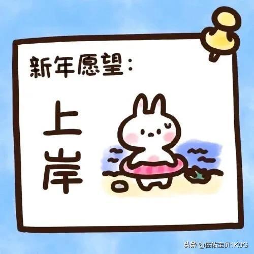 强制上岸第四天被催收折磨得人不像人鬼不像鬼,我该何去何从？