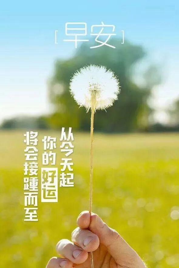 周三早安心语阳光图片：每天都是好时光，不容浪费