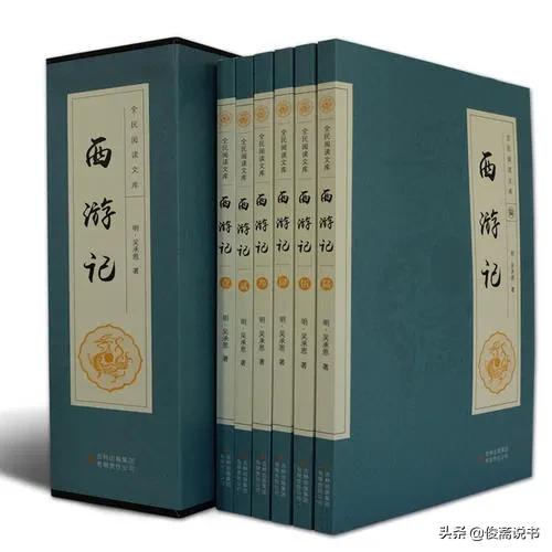 小石猴:有什么既便宜，又聪明，不需要在笼子里饲养的宠物？