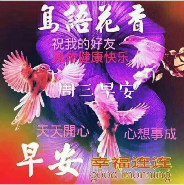周三早上好暖心问候语，周三早安祝福图片带字