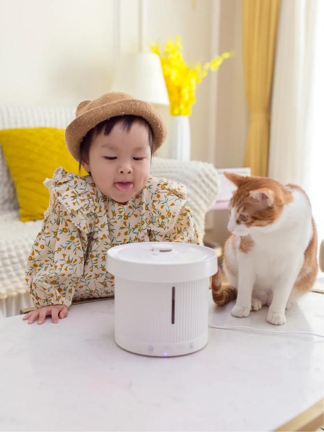 甜蜜猫猫01话:猫咪可以自己在家两天一夜吗，如果可以的话需要帮它做些什么？