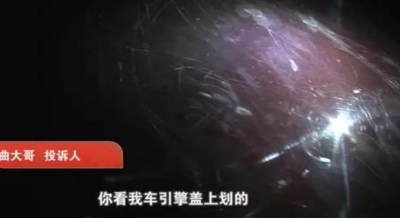 宠宠熊为什么倒闭了:你有没有感觉现在娱乐文化产业水平倒退了？为什么？