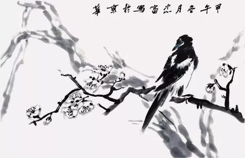 吉祥鸟鹦鹉论坛:吉祥鸟的寓意意思是什么？