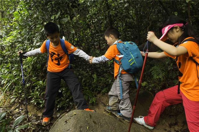 孩子胆小怎么办:孩子总是缺乏勇气，胆小怕事，做事半途而废，我该怎么办？