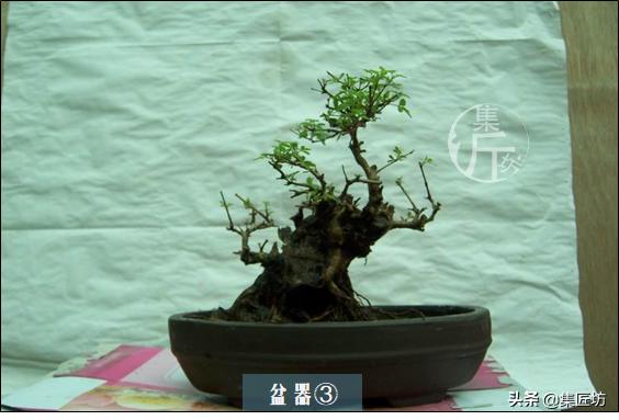 培新机械:工业机器人专业有哪些就业方向？