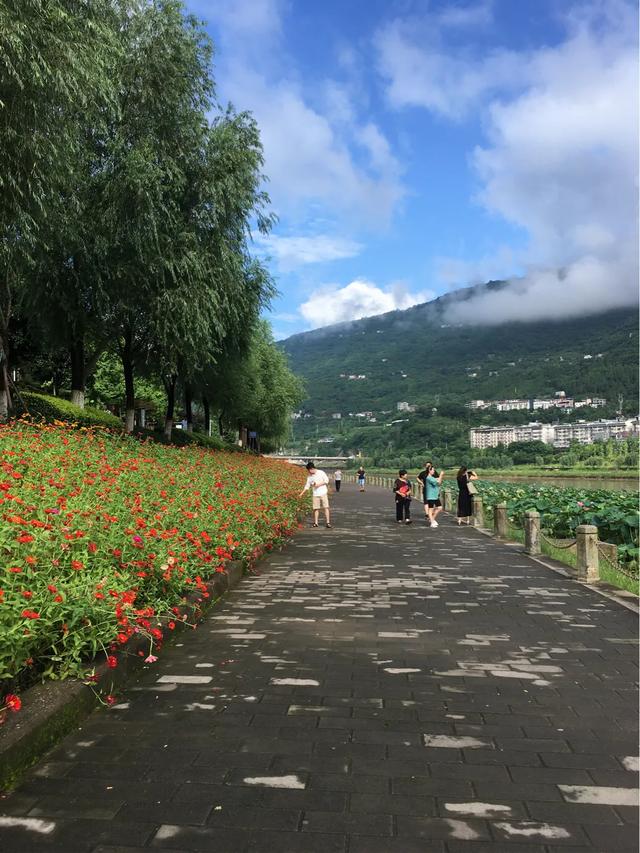白云初晴,幽鸟相逐,这句是什么意思呢？