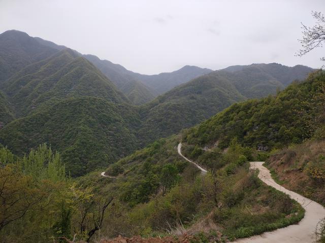 新藤惠美:地里长了许多葛根藤，怎么清除？
