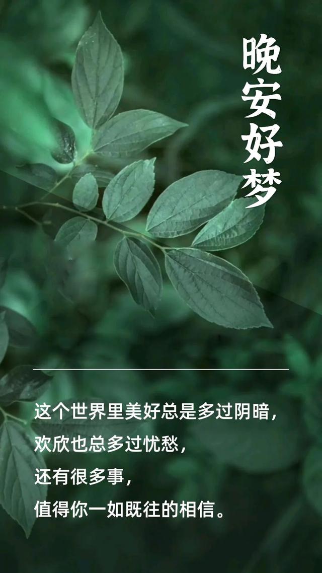 柔软的晚安心语心情短句子，选一句发朋友圈，带有好看的图片