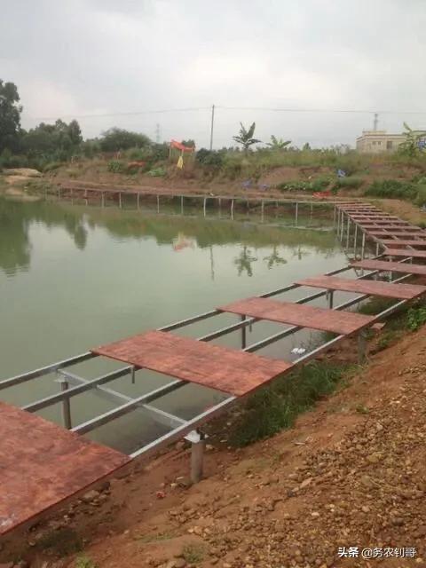 德阳钓鱼<a href=https://maguai.com/personal/ target=_blank class=infotextkey><a href=https://maguai.com/group/ target=_blank class=infotextkey><a href=https://maguai.com/personal/ target=_blank class=infotextkey><a href=https://maguai.com/group/ target=_blank class=infotextkey>微信群</a></a></a></a>:在南方开<a href=https://maguai.com/list/54-0-0.html target=_blank class=infotextkey><a href=https://maguai.com/list/54-0-0.html target=_blank class=infotextkey>休闲</a></a>钓场有前景吗？