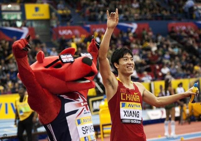为什么刘翔退役后,男子110米栏在中国就没有多少人关注了？