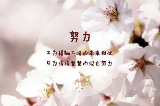 人该努力还是安于现状?-百科网