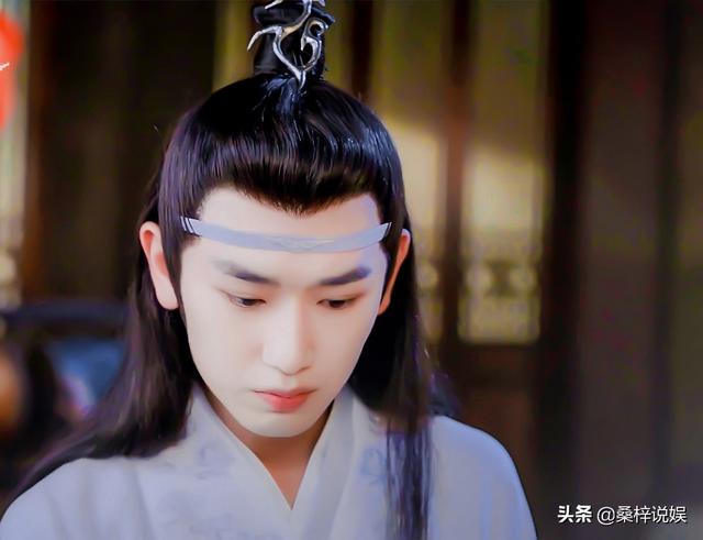 蓝思追:《魔道祖师》蓝思追会是下一任云深不知处的家主吗