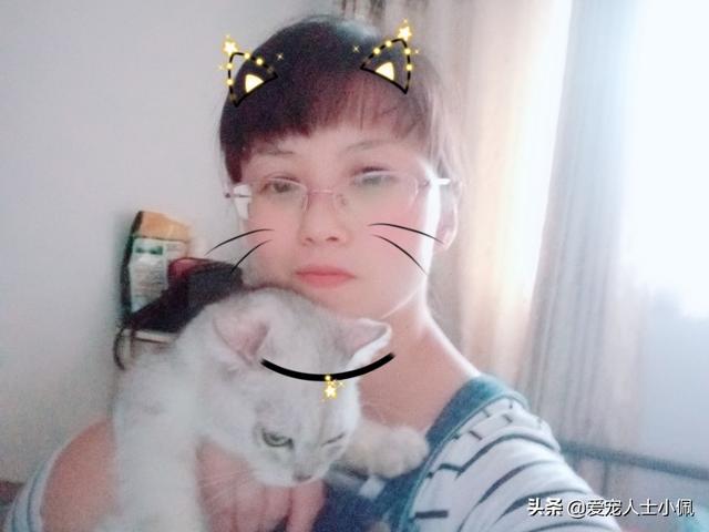 银渐层小时候是白的:银渐层小时候是白的吗 一个月小猫怎么分银点和渐层？