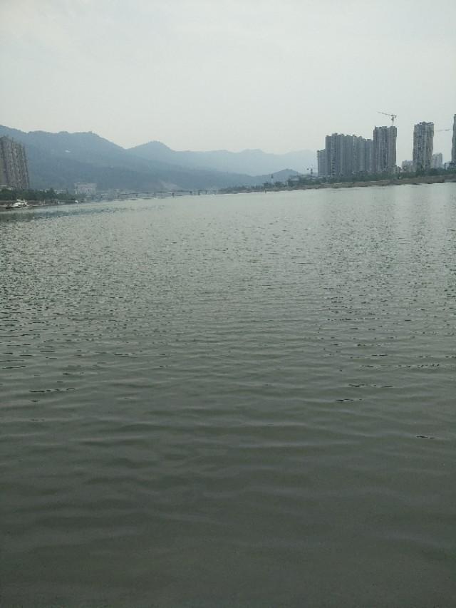 卡乐猫:一个月小猫怎么分银点和渐层？ 卡乐猫app下载