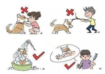 疯狗病:古代没狂犬疫苗，被疯狗咬了怎么办？ 疯狗病abo结局