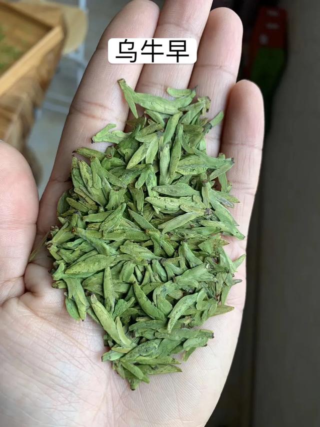 龙井茶有几种,乌牛早和西湖龙井绿茶差别有多大？