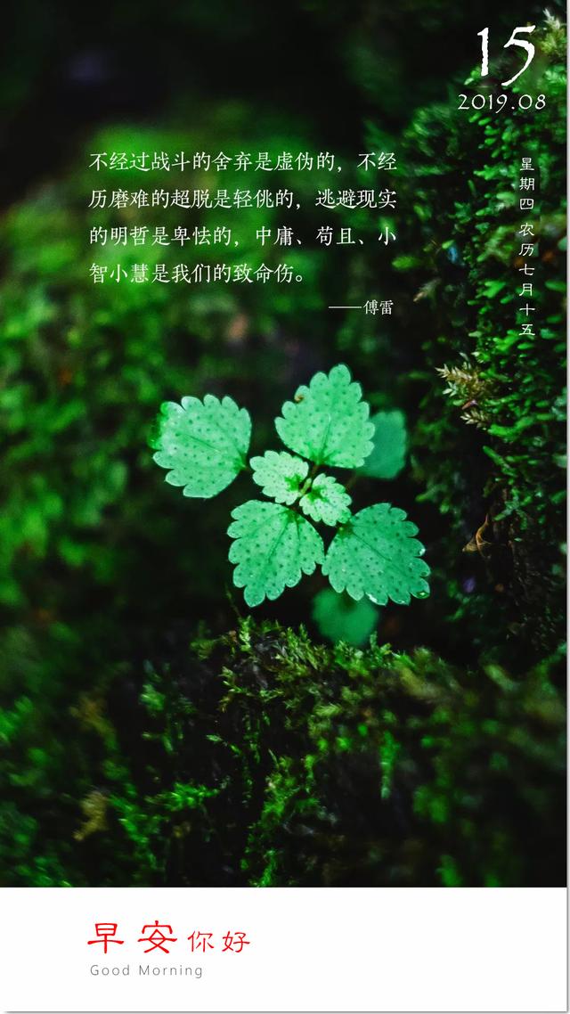 周四早安图片加字：不经战斗的舍弃是虚伪的，不经磨难的超脱是轻佻的