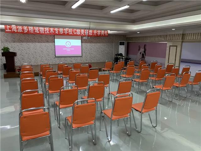 宠物美容师学校培训课程:宠物美容去哪里学比较好，宠物美容师工资怎么样？ 宠物美容师培训的学校
