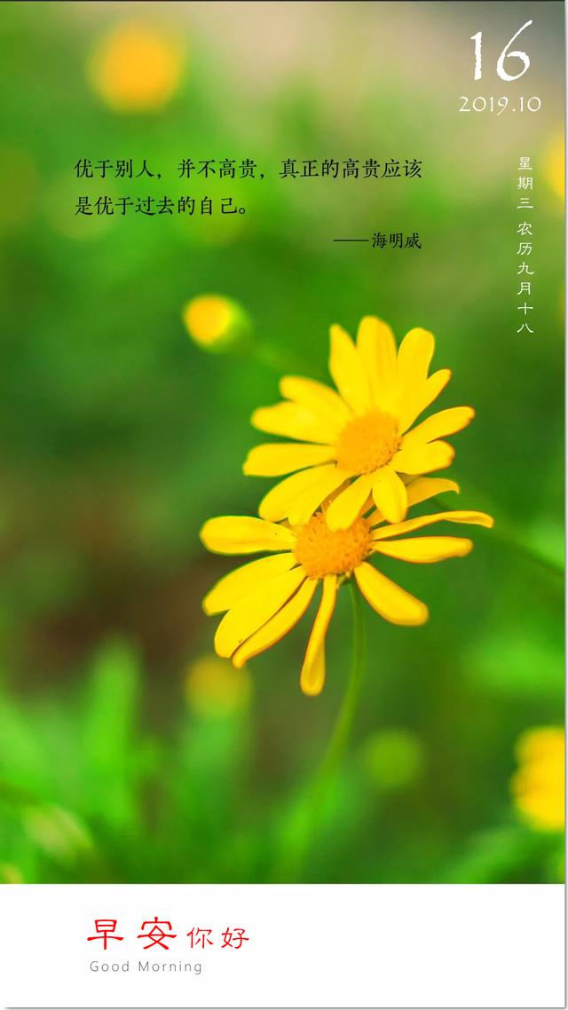 每日日签191016：想努力的时候，就背水一战