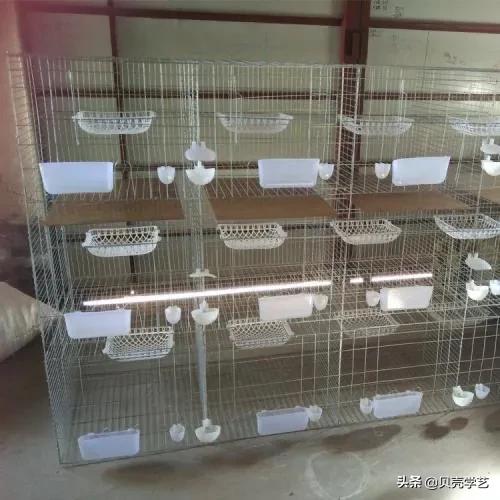 一起来养猪<a href=https://maguai.com/personal/ target=_blank class=infotextkey><a href=https://maguai.com/group/ target=_blank class=infotextkey>微信群</a></a>:南方农村家里有空置的养猪场，怎么合理利用呢？