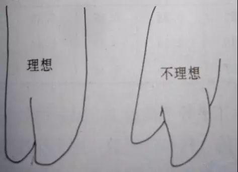 刘洋个人资料:二十头母猪生产出售仔猪算什么规模