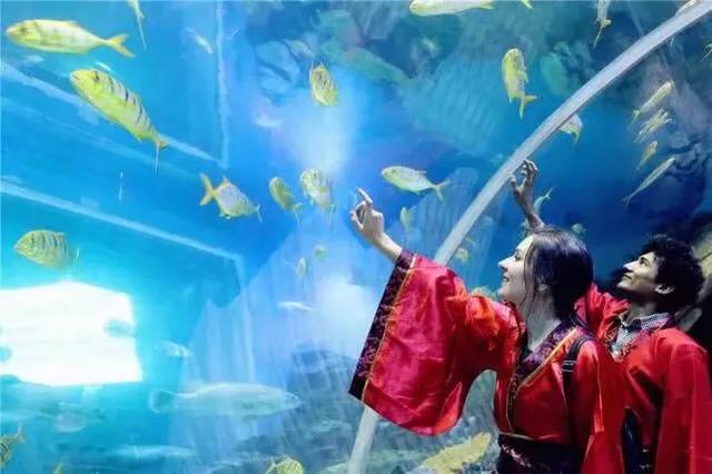 梦幻水族馆动态壁纸:西安华夏文旅景区，你们觉得可以值得去一下吗？求推荐？ 梦幻水族馆动态壁纸下载