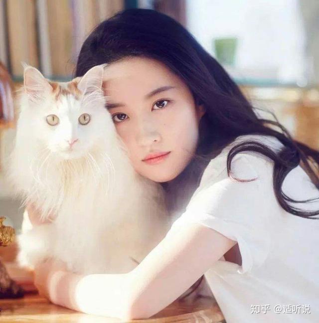 刘亦菲宋承宪:刘亦菲宋承宪为什么分手？