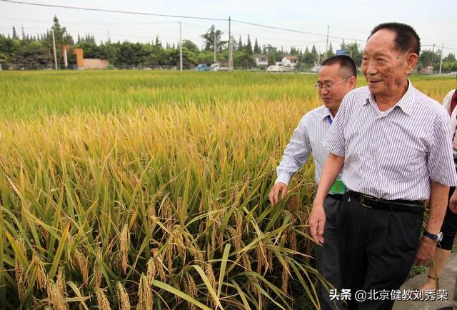 袁隆平院士逝世了,他的杂交水稻研究怎么办？