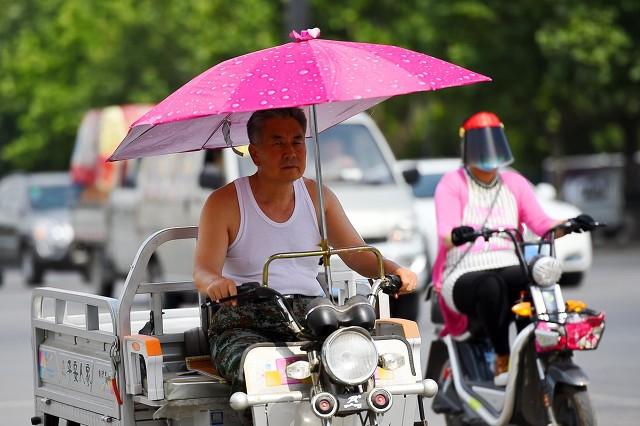 斗牛犬躲冰箱避暑:高温预警再度拉响，这场“高温战”将持续多久？