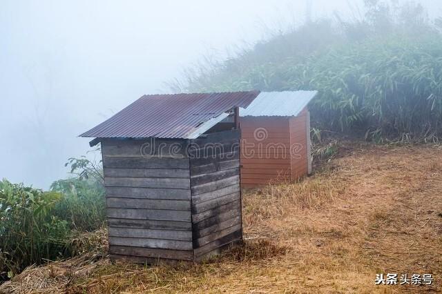 一条宠物狗掉进粪坑在线播出:农村的厕所在外面，坑上加木板，上厕所时，你掉进过厕所里吗？ 宠物狗掉进粪坑致3死