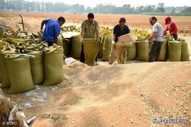 为何传统鱼子酱市场凋零的很快，为何农村现在很少有人做豆腐了